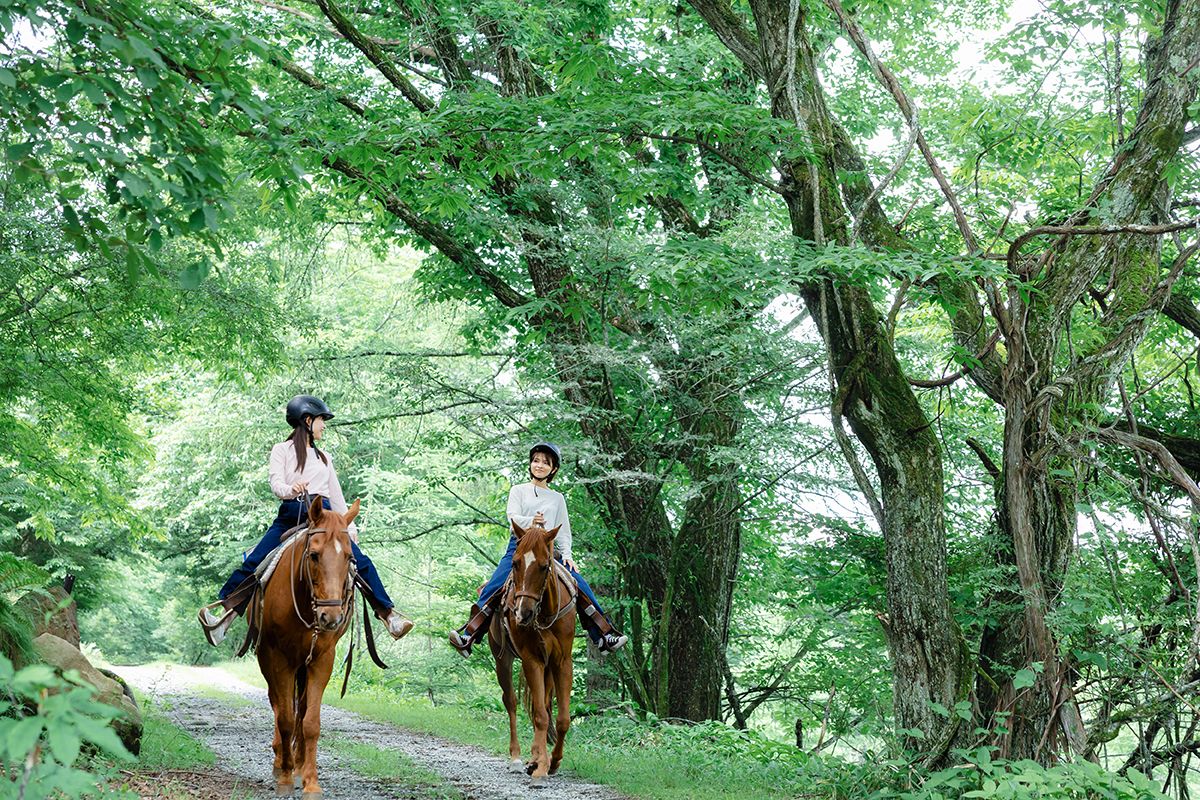 高原の森の乗馬体験