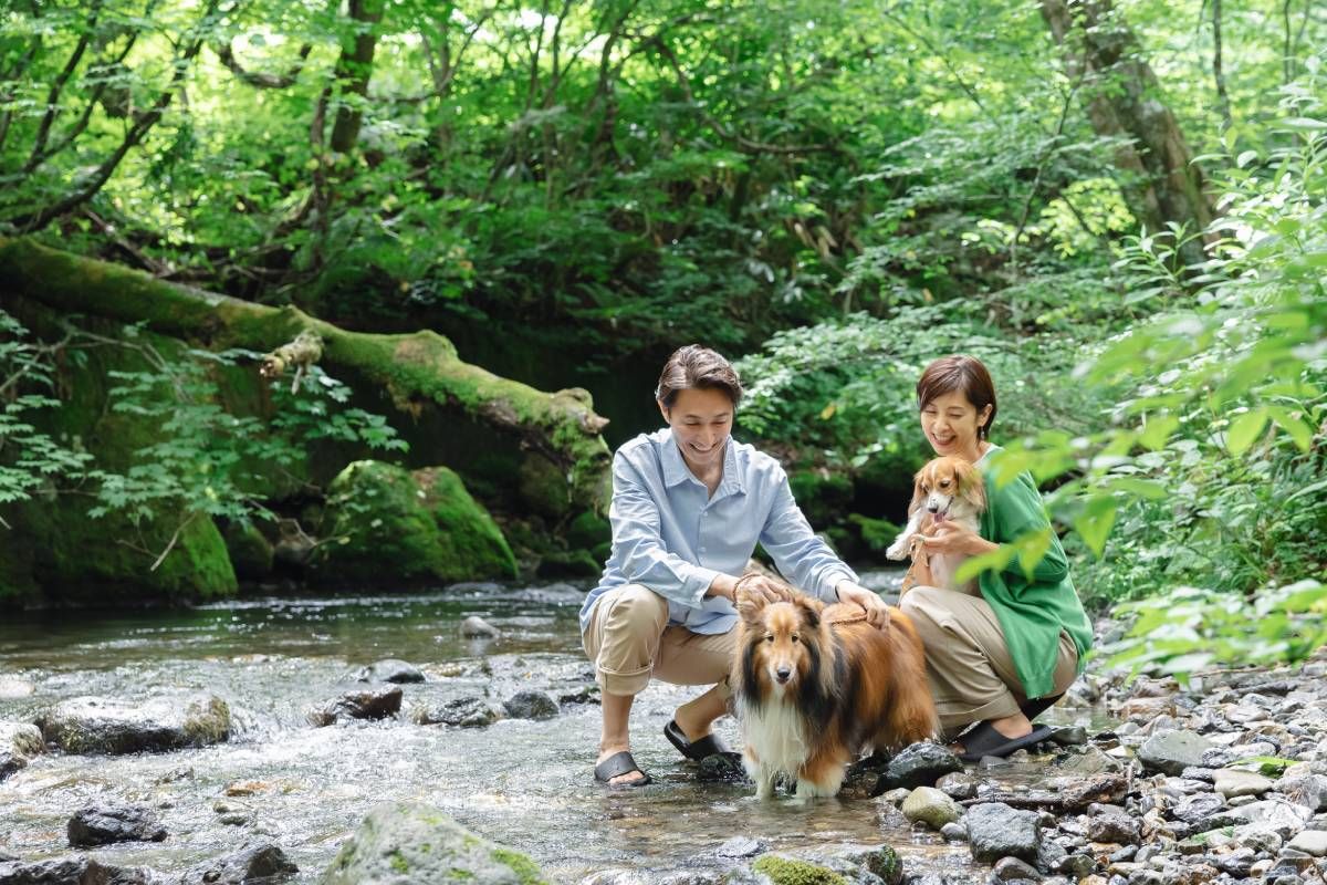 森の空気を感じながら思い切り遊べるお散歩コース