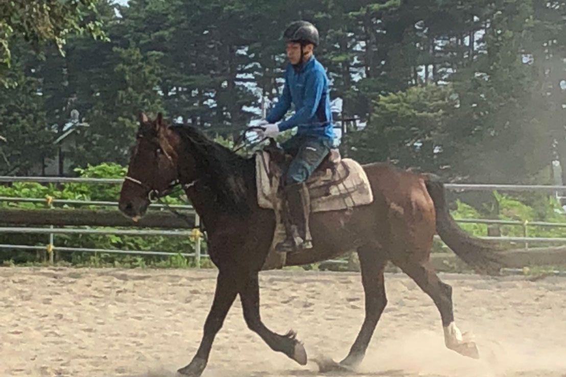 乗馬ライセンス5級取得プラン