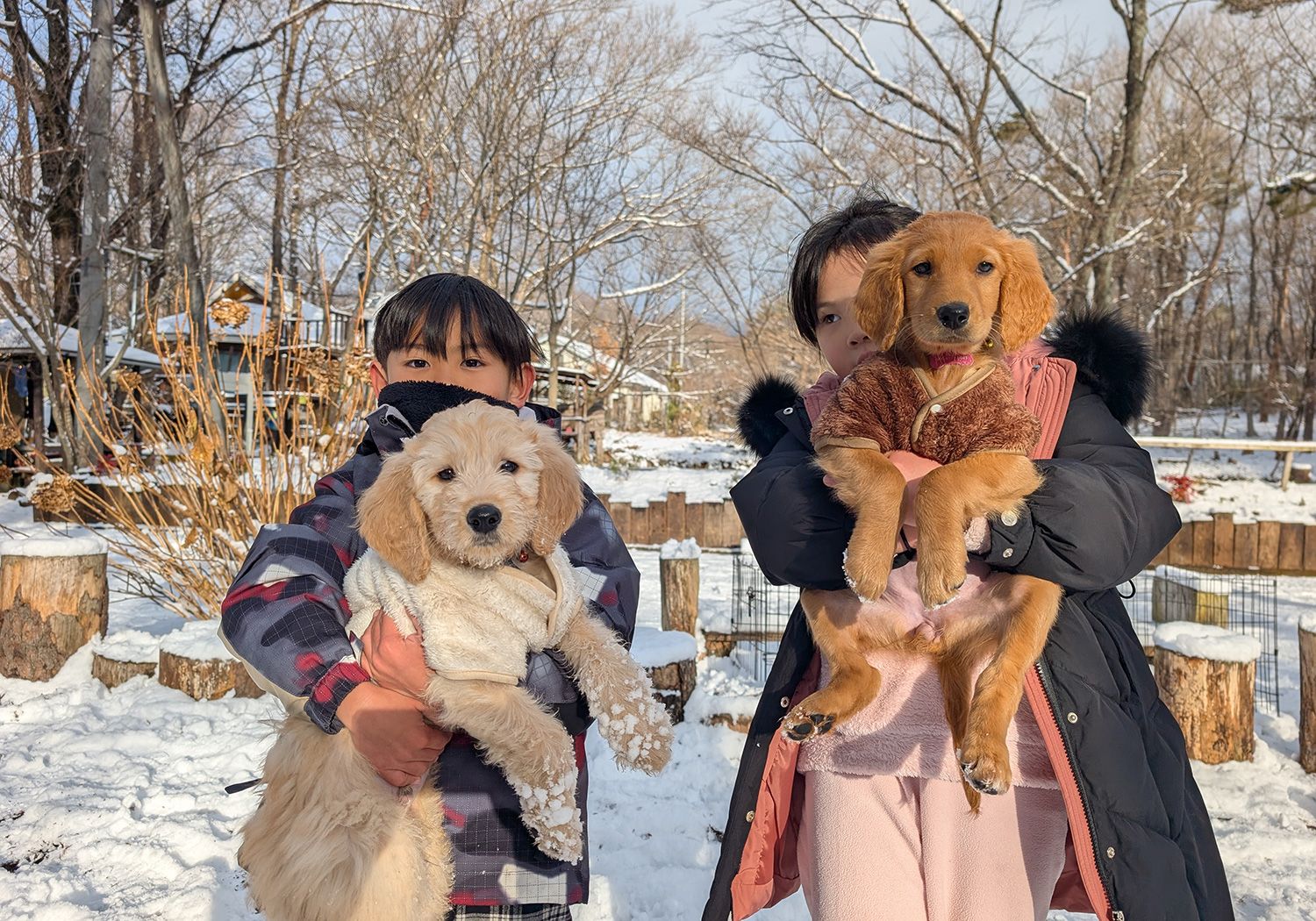 那須ウエスタンファーム 乗馬 ふれあい動物園