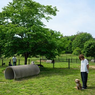 Harayama Citizens' Park