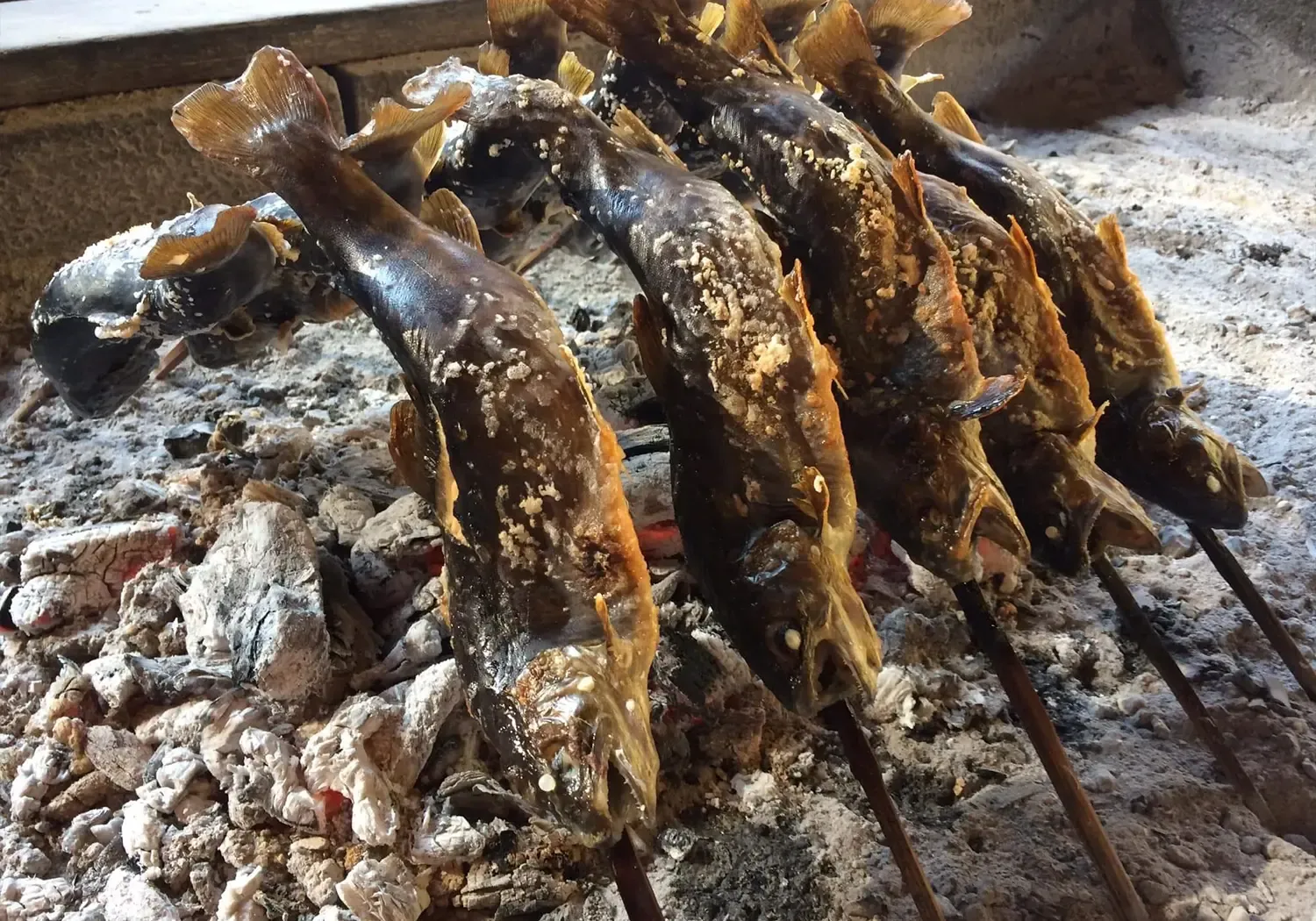 Mountain stream fishing