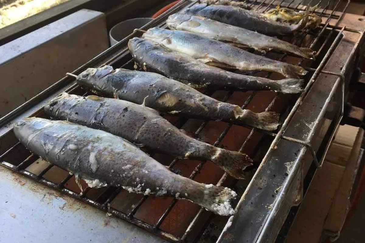 富士見ニジマス釣り