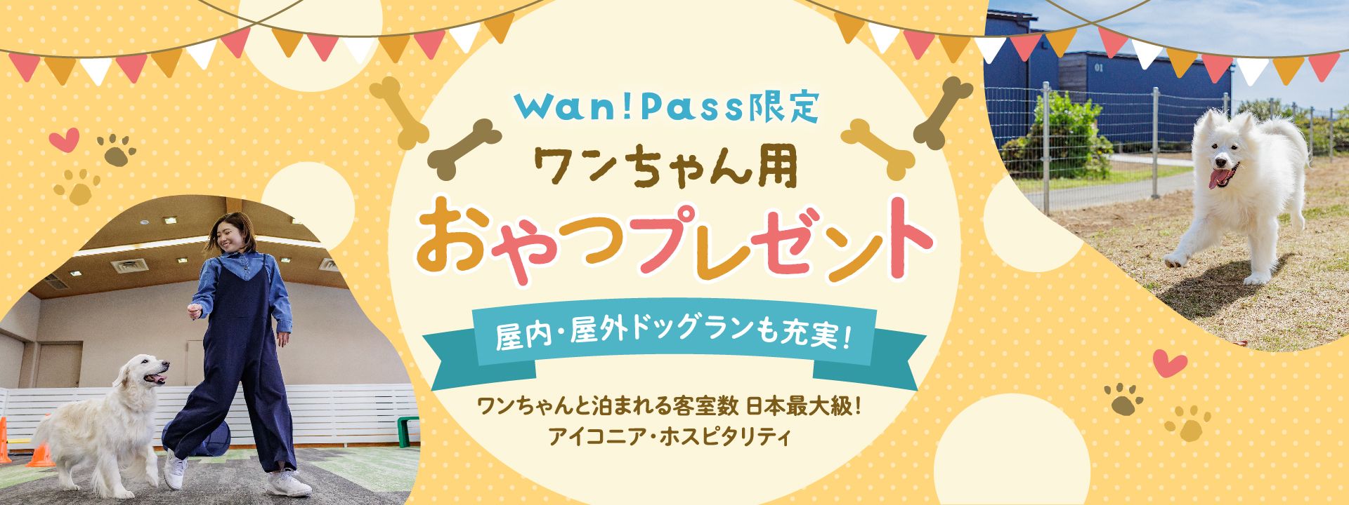 Wan!Pass限定 ワンちゃん用 おやつプレゼント