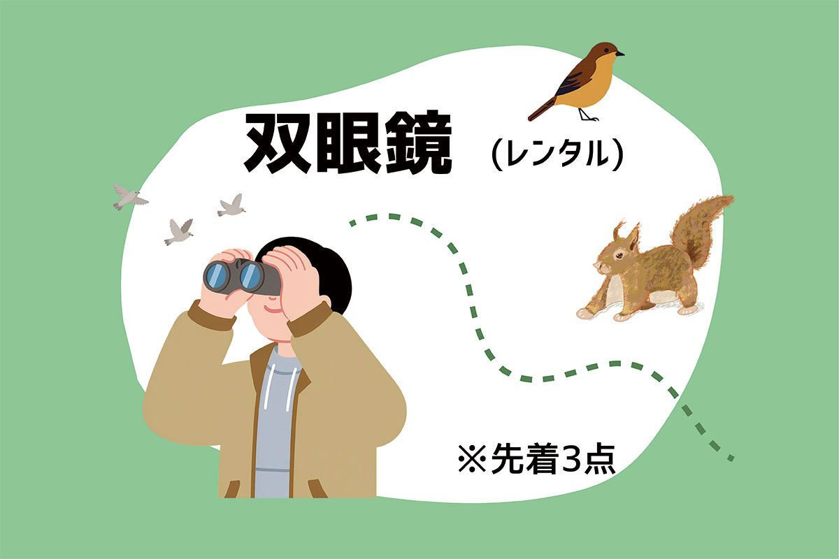 八ヶ岳の自然に触れよう！野鳥観察