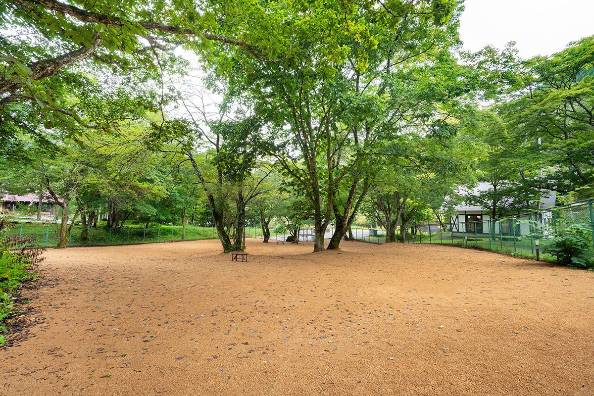DOG PARK