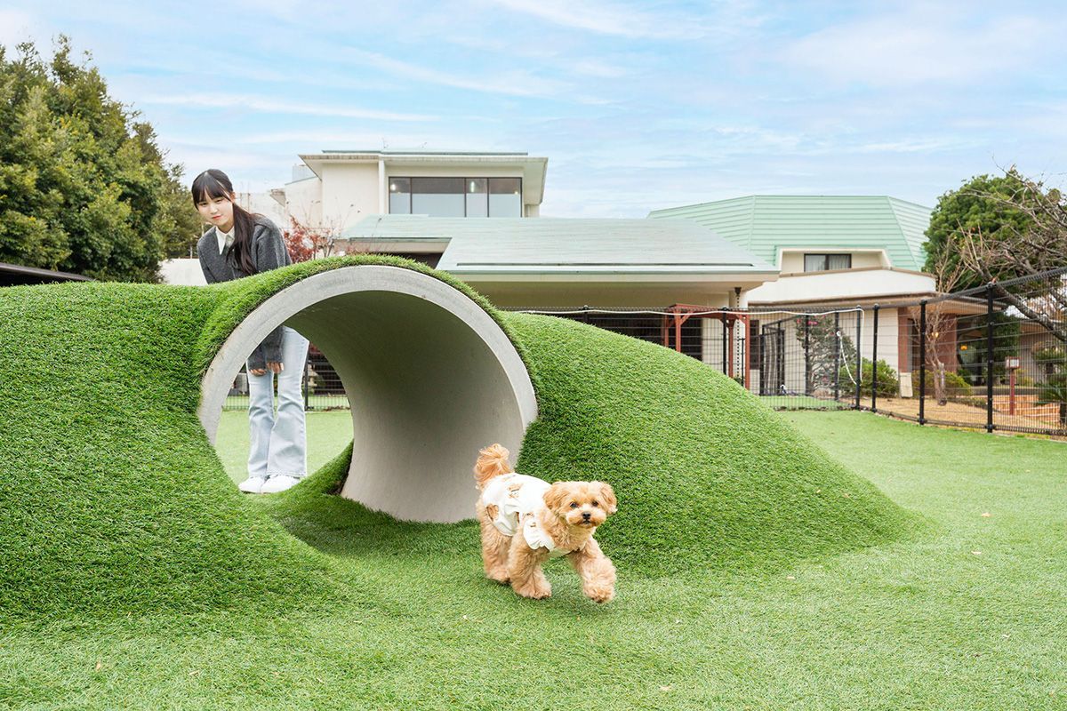 <h2>施設案内</h2>