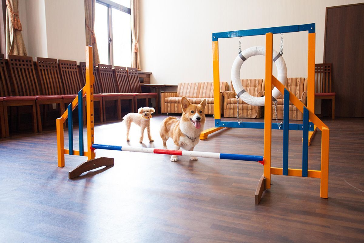 Indoor Play Space