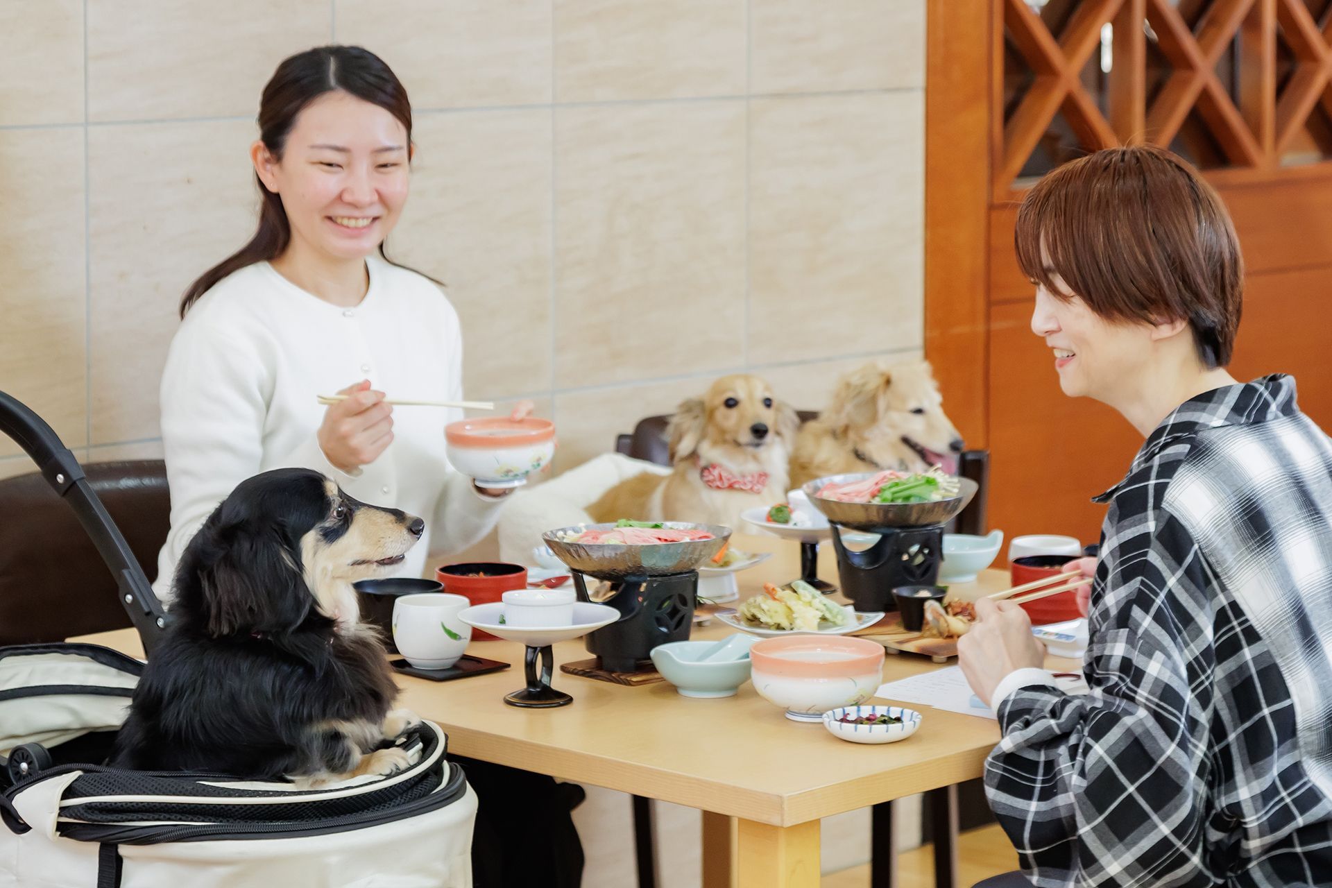 わんちゃんと泊まれる！食事が美味しい宿10選