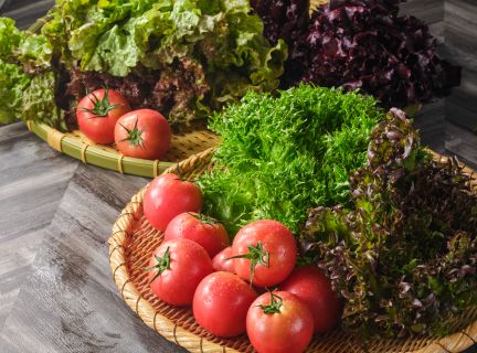 八ヶ岳の新鮮野菜