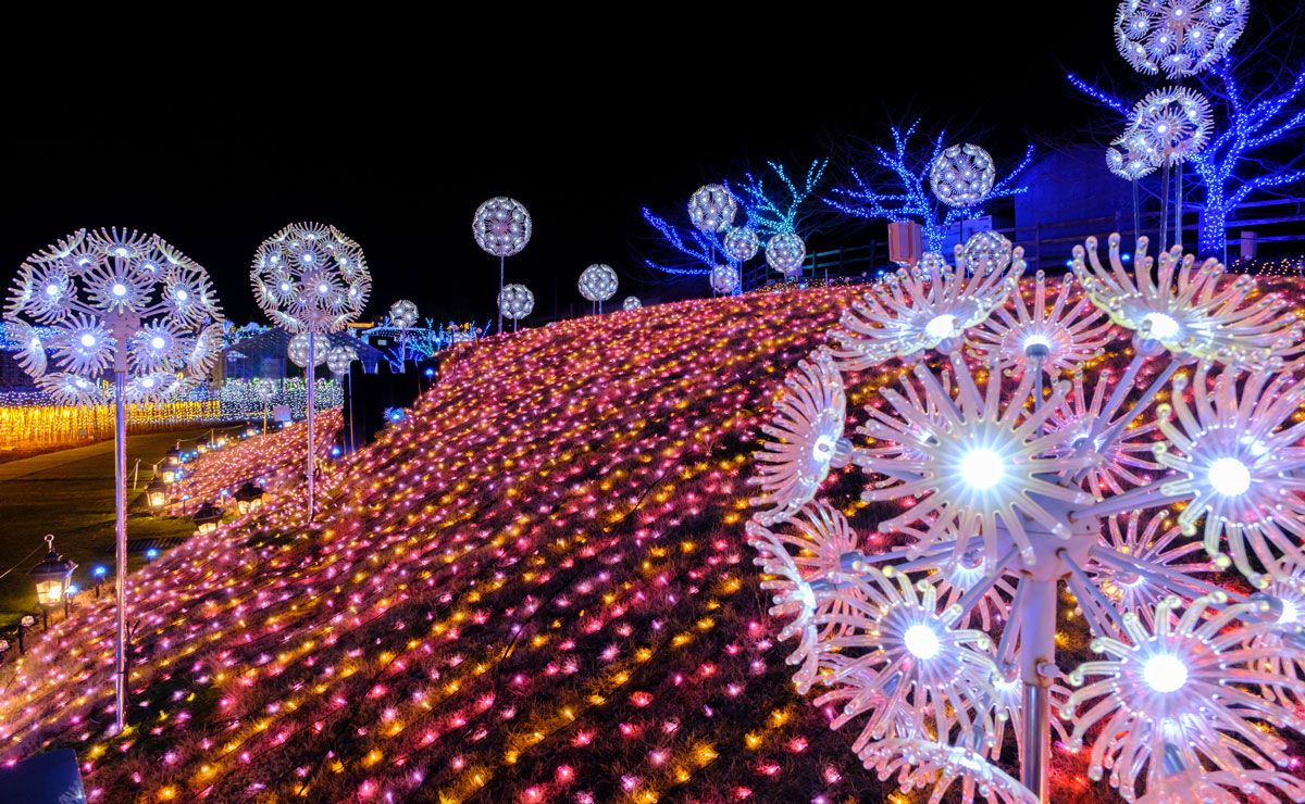 冬を彩る、煌めきの夜景・イルミネーション