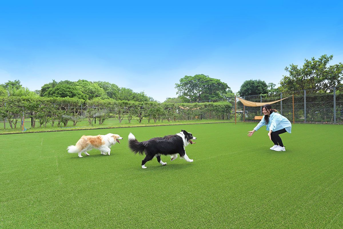 <h2><span style="white-space:pre-wrap;">施設案内</span></h2>