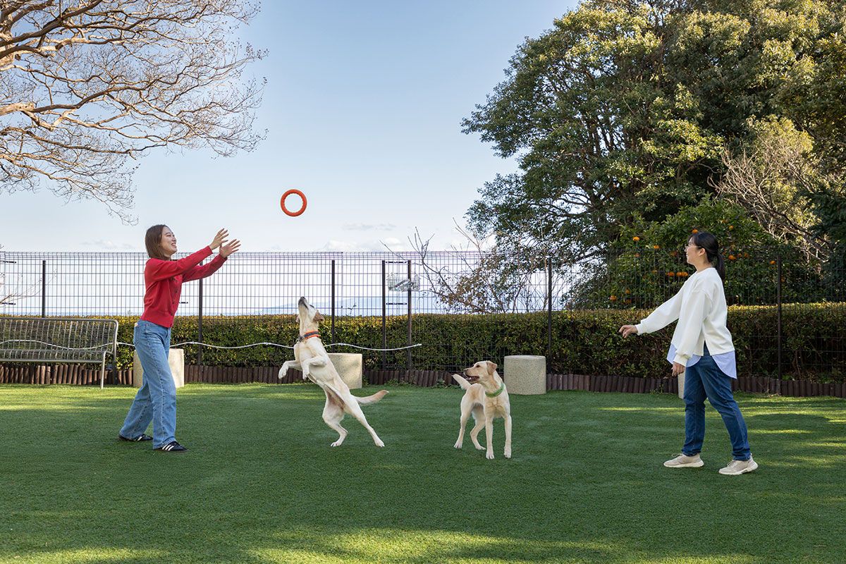 <h2><span style="white-space:pre-wrap;">施設案内</span></h2>