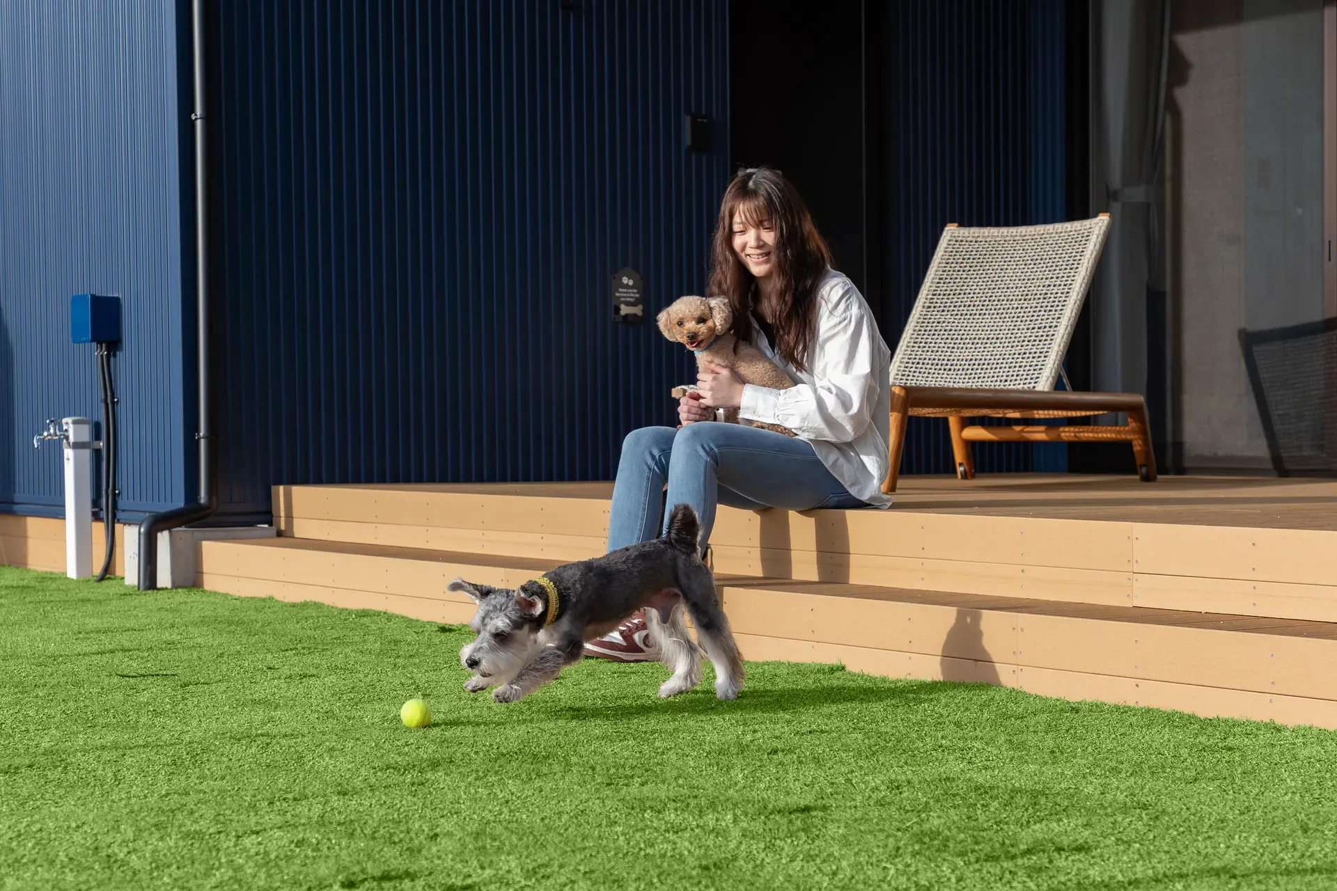 愛犬ディナー付き特別会席の写真