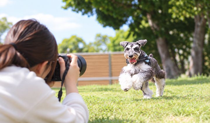 プロカメラマンによる撮影＆写真プレゼント