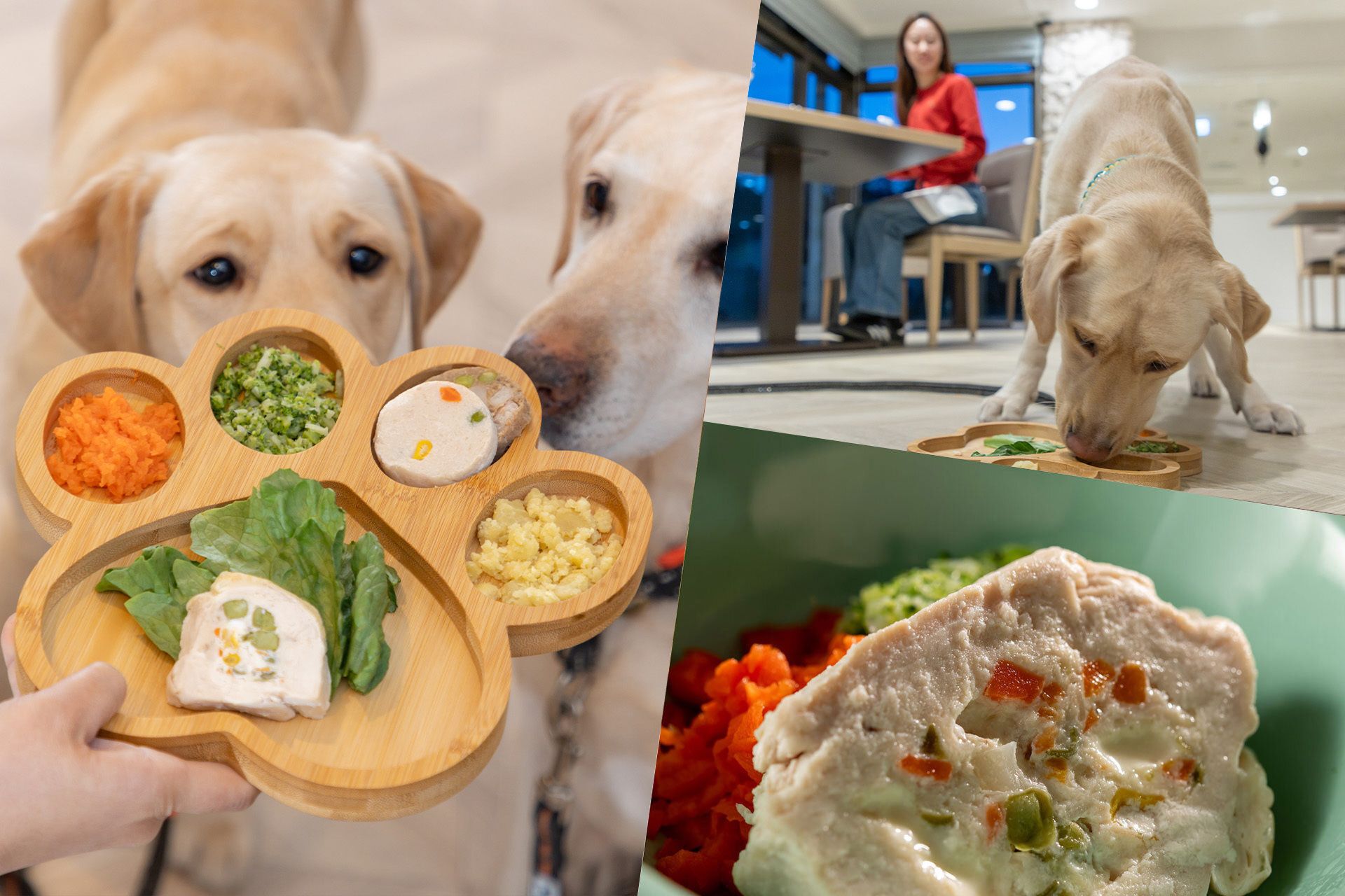 わんこプレート