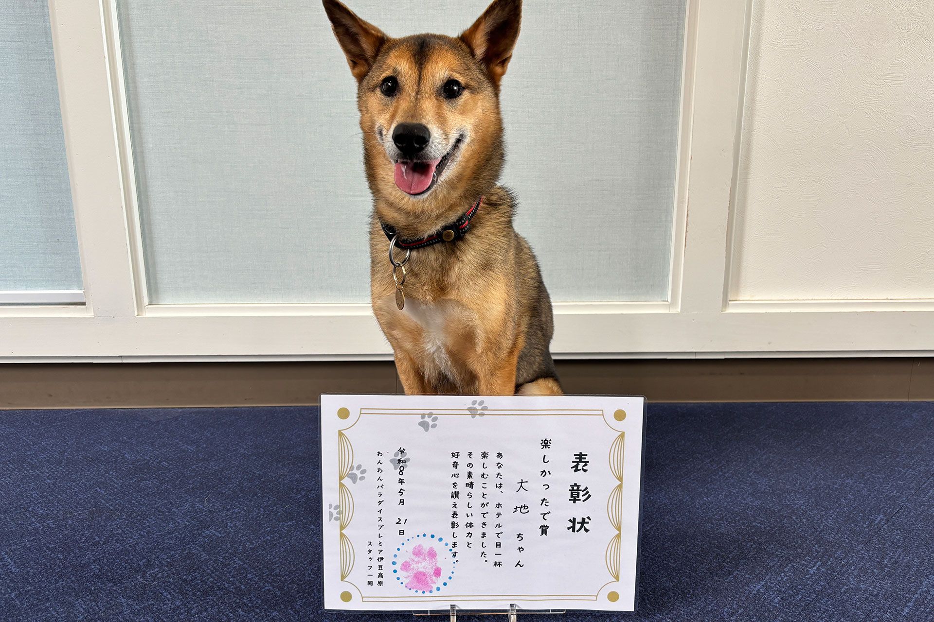 肉球スタンプグッズ