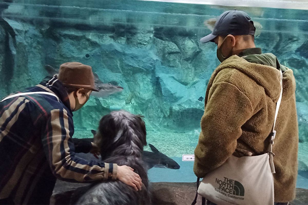 蓼科アミューズメント水族館