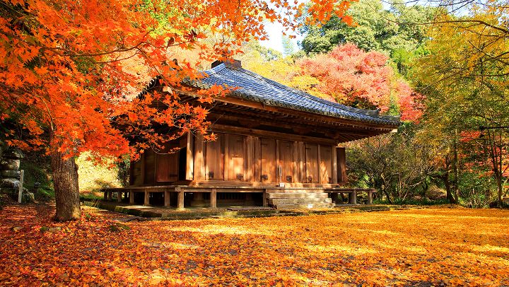 富貴寺（ふきじ）