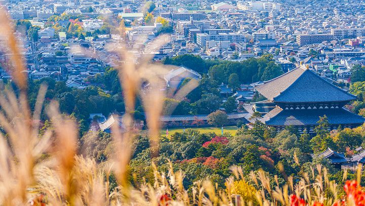 奈良公園・若草山