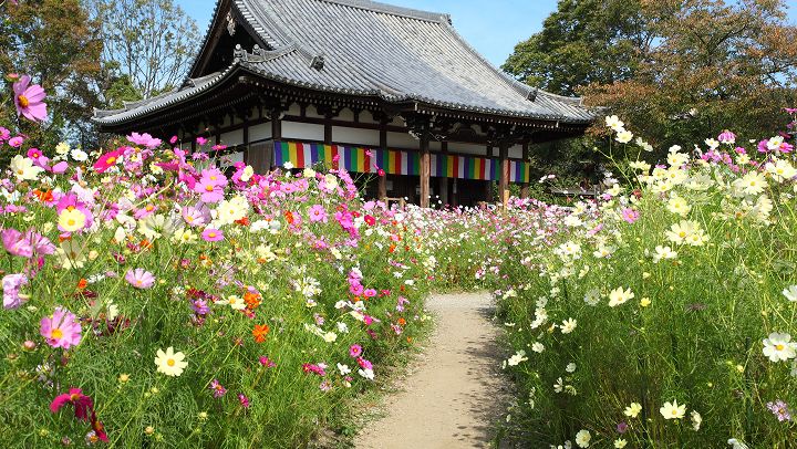 般若寺