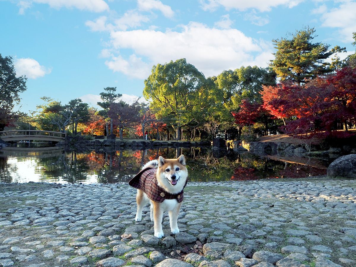 奈良公園