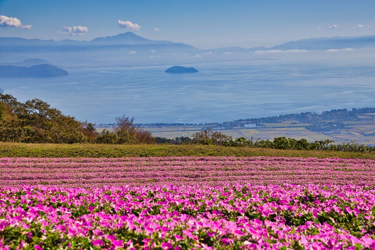 びわこ箱館山