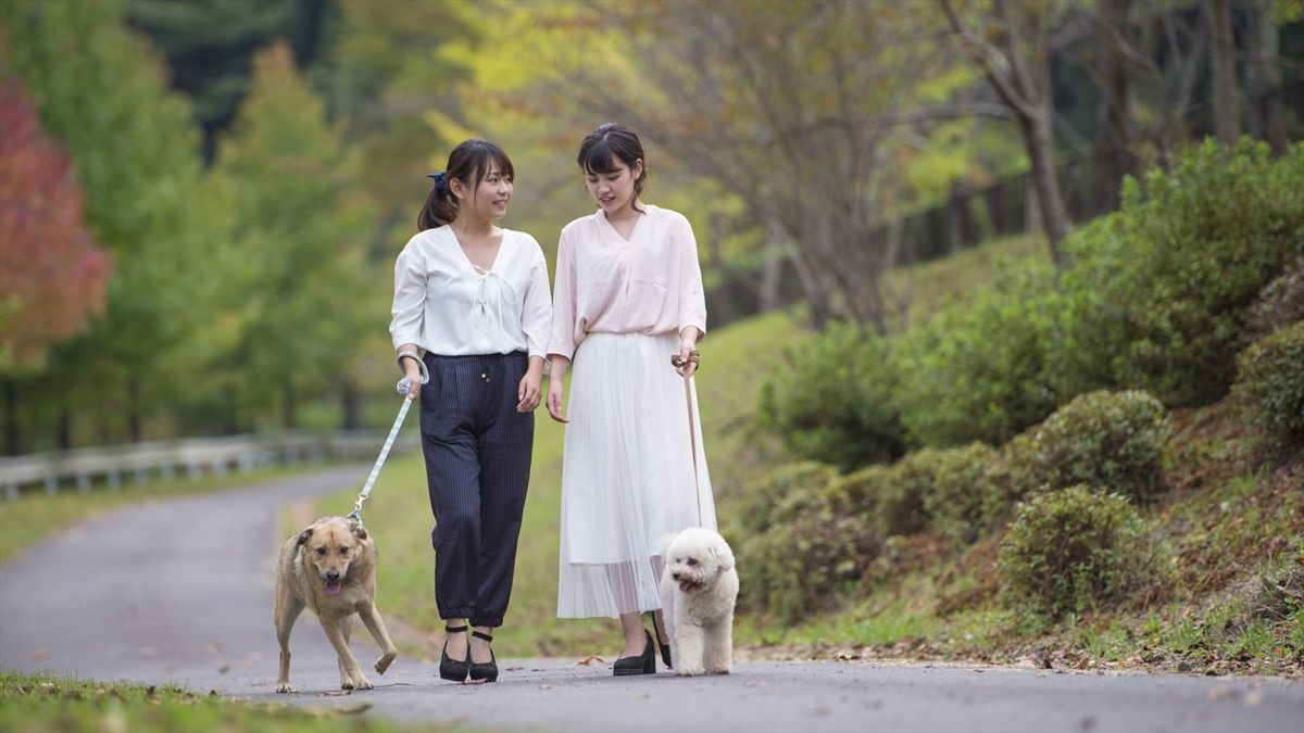 ホテルの周囲にある緑豊かな散歩コース