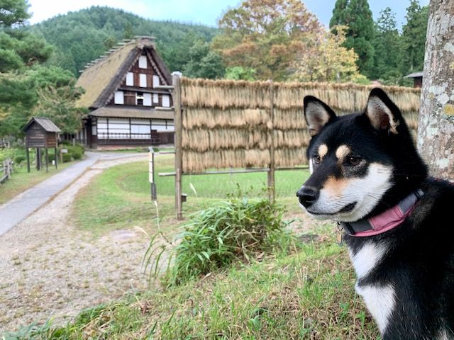 飛驒民俗村・飛驒の里