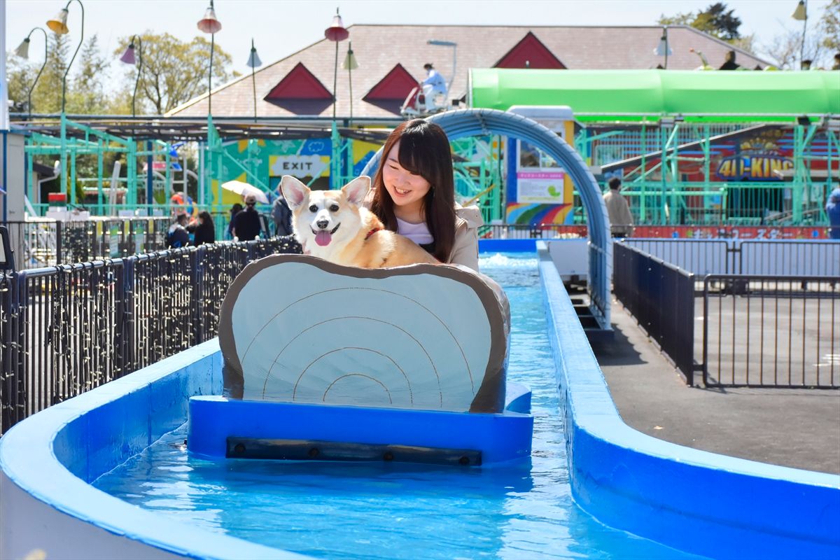 伊豆ぐらんぱる公園