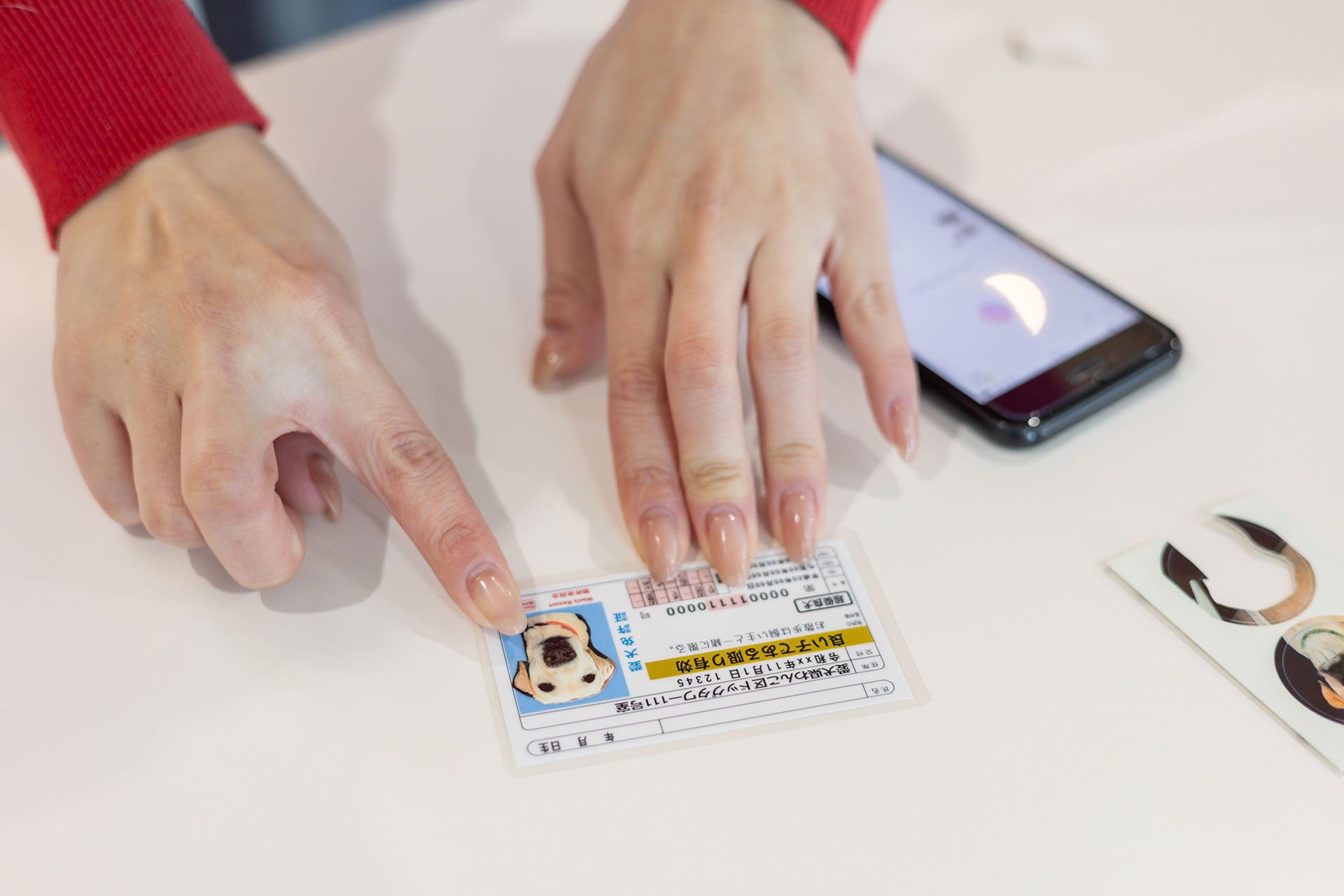 愛犬免許証