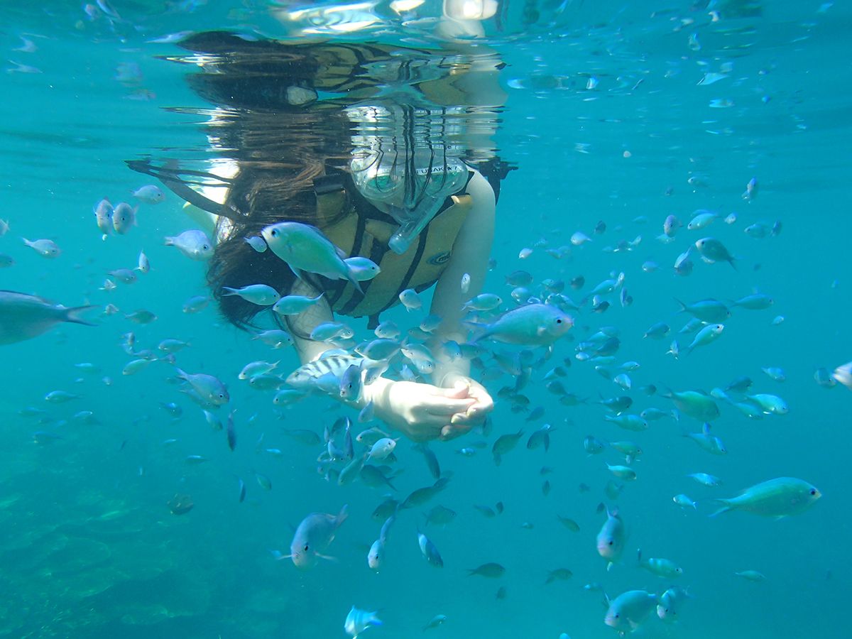 フサキビーチリゾート ホテル＆ヴィラズ　マリンアクティビティ「シュノーケルツアー」