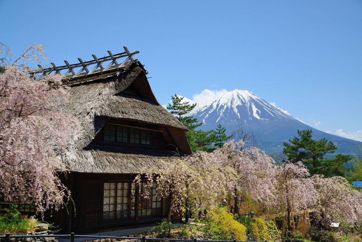 西湖療癒之里根場