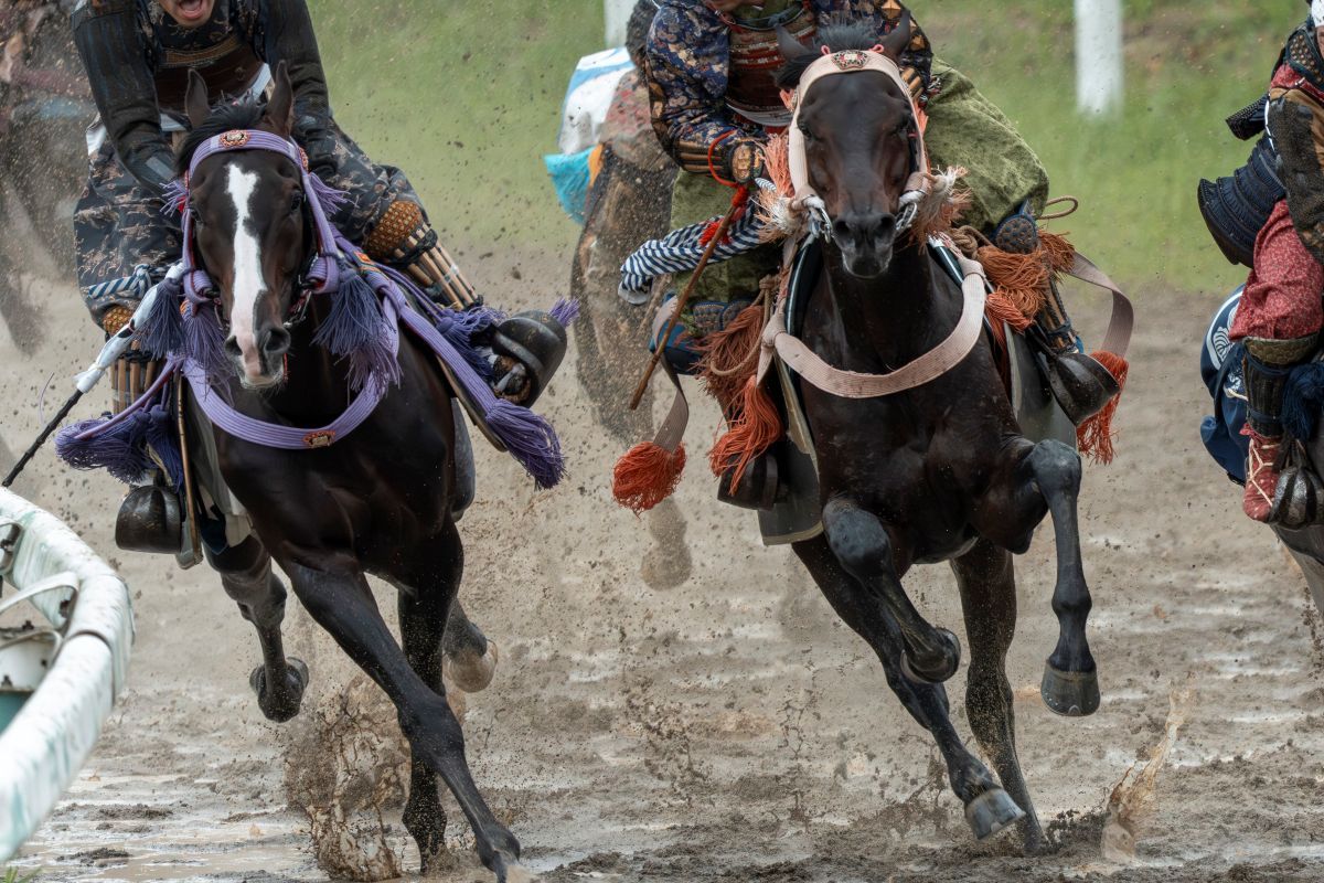 【初夏・浜通りエリア】迫力満点！武士の魂が蘇る「相馬野馬追」
