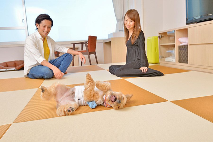 【関東・千葉】白浜オーシャンリゾート