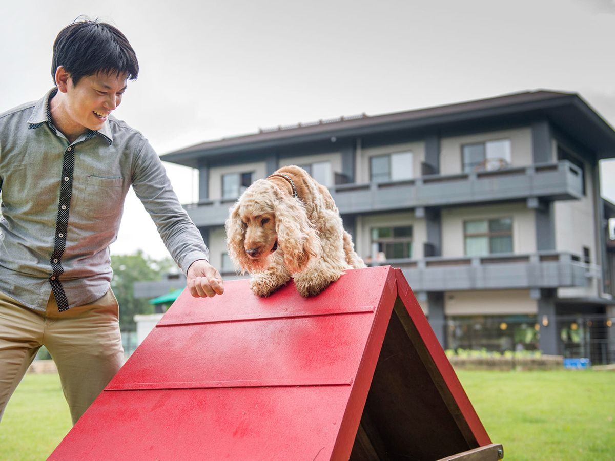 広々としたDOG PARKは宿泊時に無料で利用可能