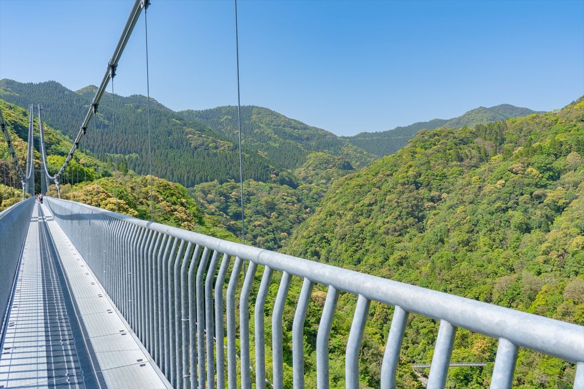 起伏に富んだ地形を一望できる「綾の照葉大吊橋」
