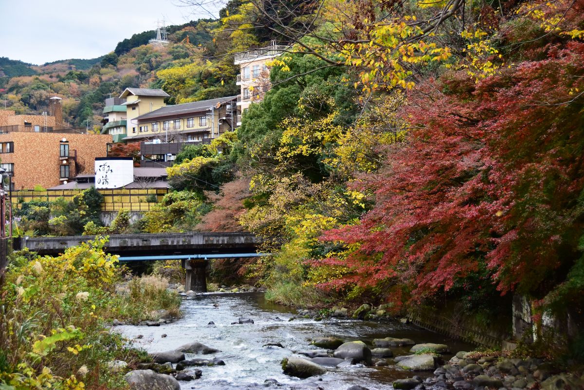 四季折々の景観が美しい「湯河原温泉」