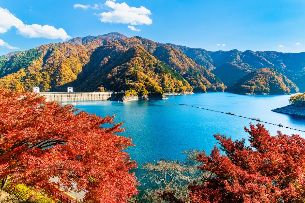 紅葉に染まる「奥多摩湖」