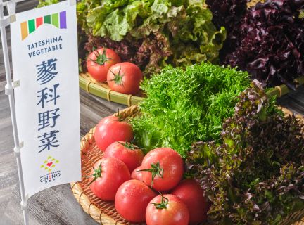 蓼科の新鮮野菜