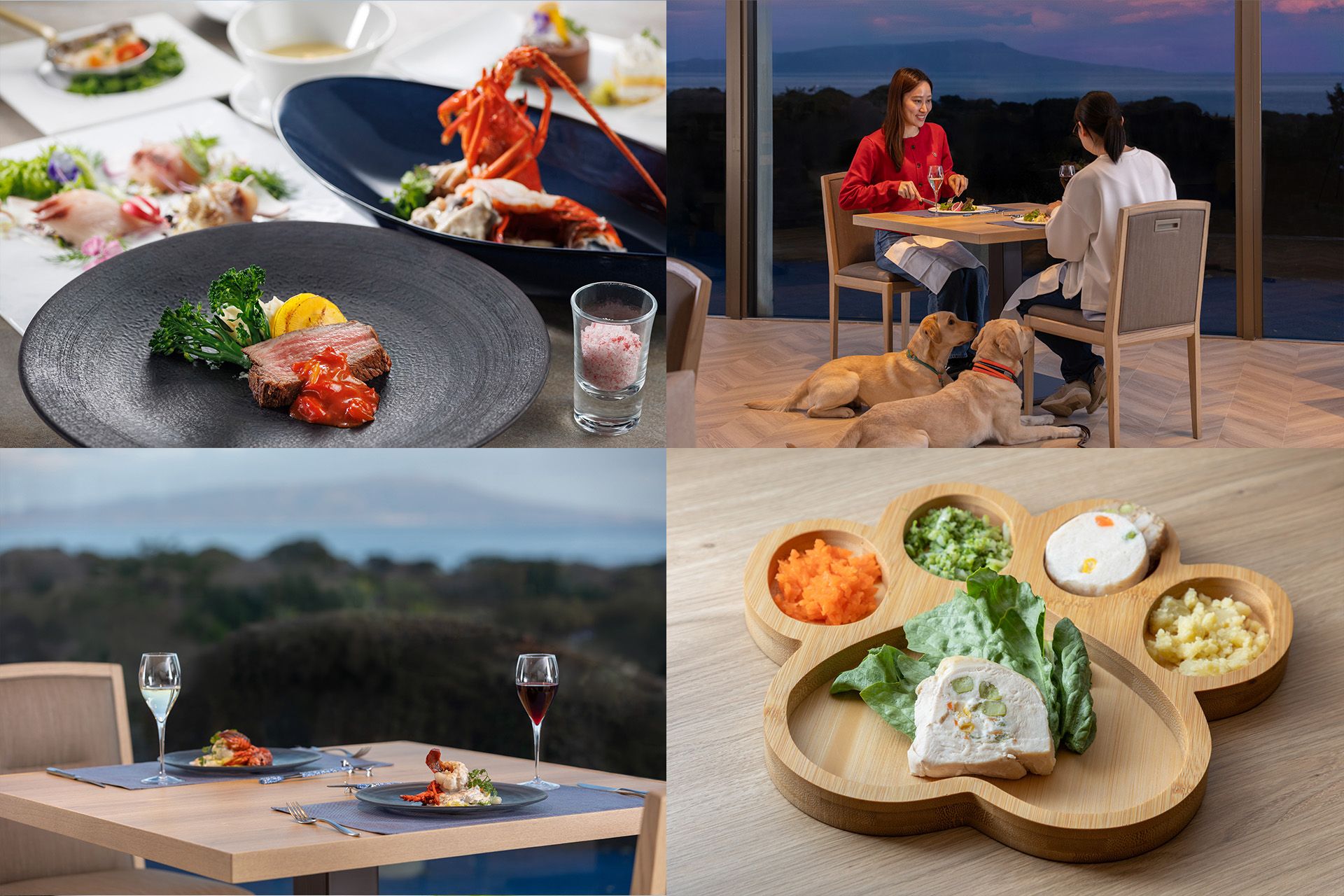 愛犬と一緒に夕食を楽しむ