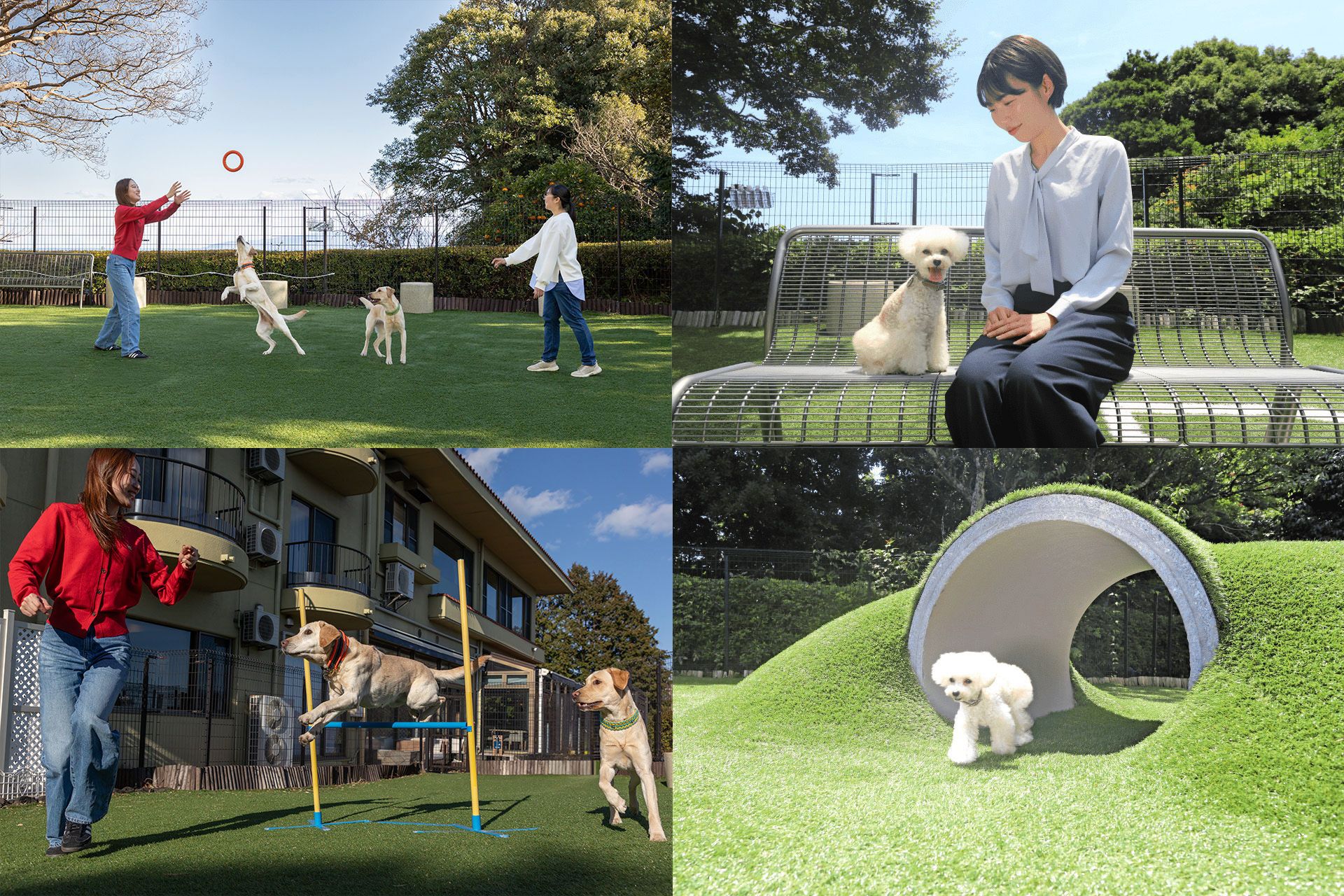 场地内设有DOG PARK