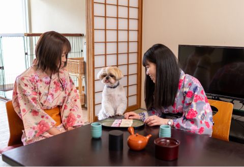 草津温泉 大東舘
