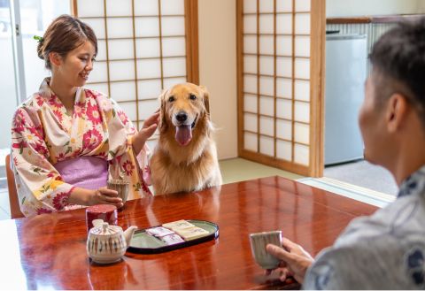 Kusatsu Onsen Daitokan