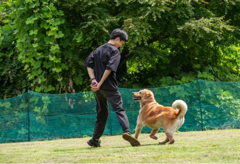 KAMENOI HOTEL KITSUREGAWA