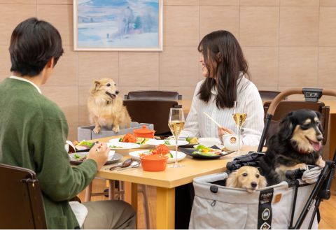 Wanwan Paradise Premier Shiobara