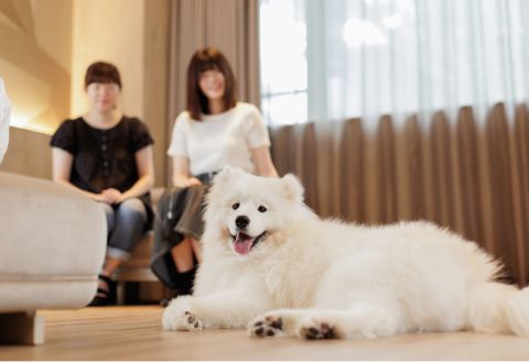 KAMENOI HOTEL TSUKUBASAN