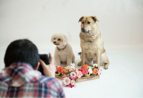 Wanwan Paradise Toba