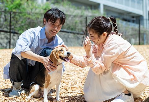 わんわんパラダイス 奈良生駒