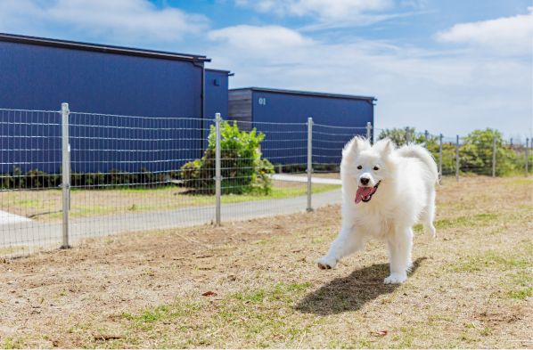 充実したドッグランでワンちゃん大喜び